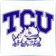 Texas Christian University - Graphic School Ranking