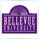 Bellevue University - Graphic School Ranking