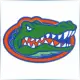 University of Florida - Graphic School Ranking